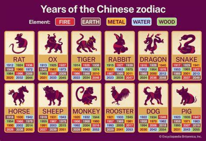 Unveiling the Mysteries of 1991 in Chinese Zodiac: A Complete Guide