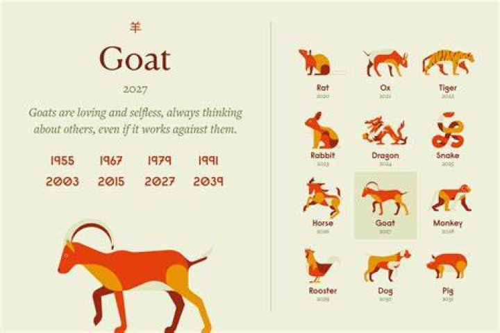 What Lunar Year is 1991? Discover the Mysteries of the Year of the Goat